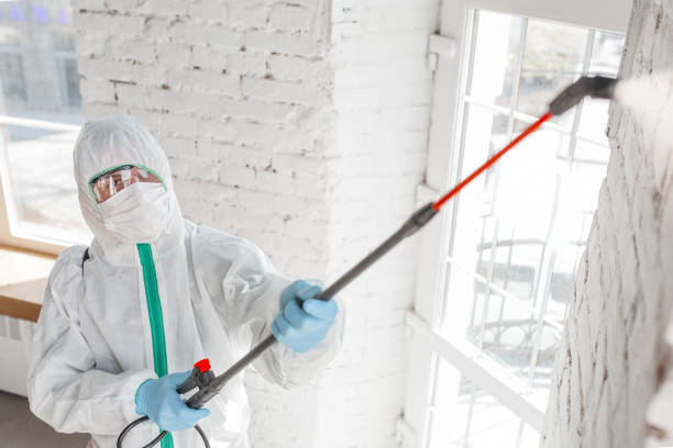 Best Industrial Mold Remediation  in Marion, MT