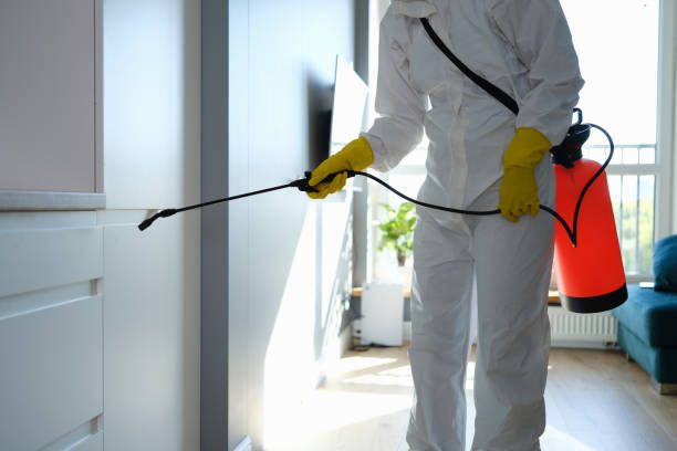 Best Mold Removal for HVAC Installations  in Marion, MT