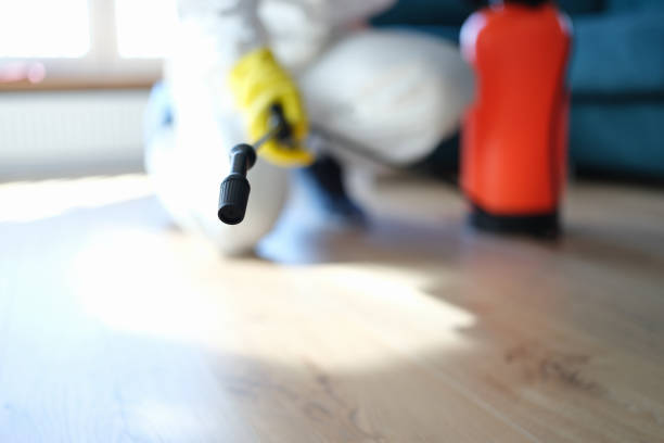 Best Mold Damage Restoration  in Marion, MT