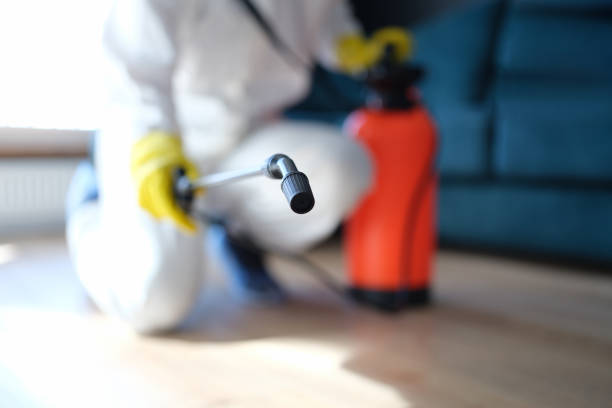  Marion, MT Mold Removal Pros