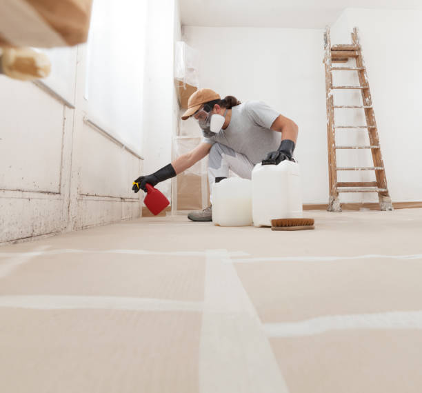 Best Comprehensive Air Testing for Mold Contaminants  in Marion, MT