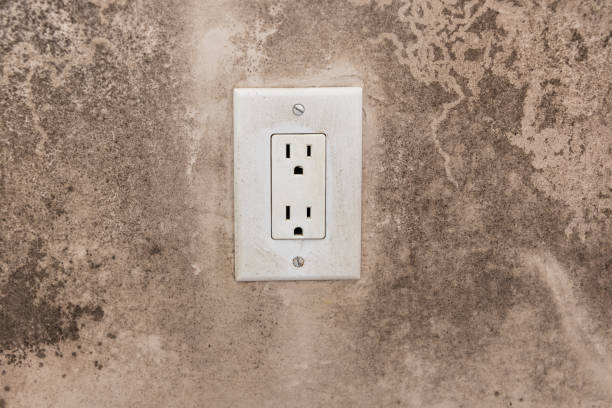 Best Residential Mold Inspection & Testing  in Marion, MT